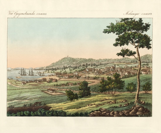 Hobart Town at Van Diemens Land from German School, (19th century)