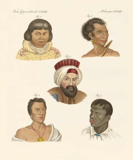 Illustration of the main human races from German School, (19th century)