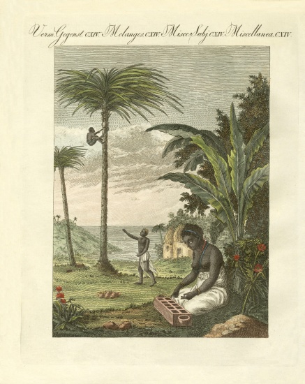 Scenes from Africa from German School, (19th century)