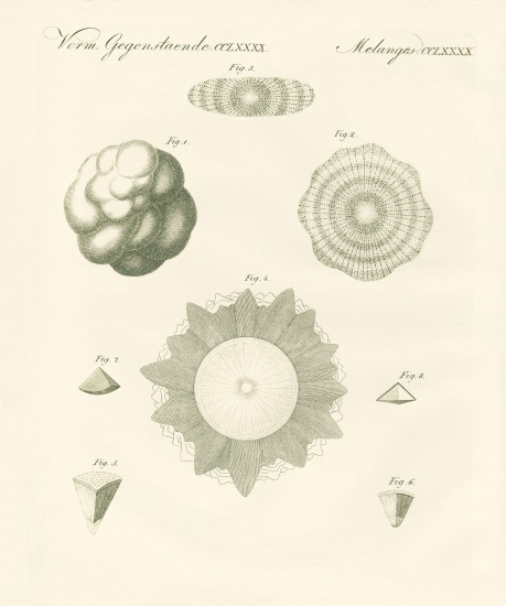 Strange hailstones from German School, (19th century)