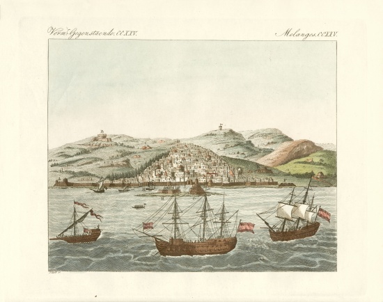 View of the city of El Djazair from German School, (19th century)