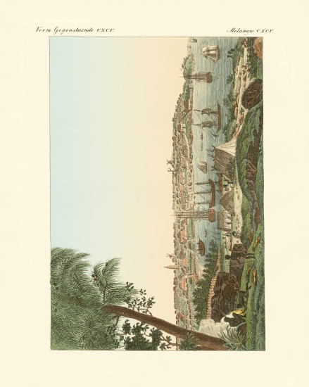 Views of the city of Sydney from German School, (19th century)