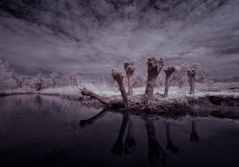 Waiting for the witches infrared from Gert van den Bosch