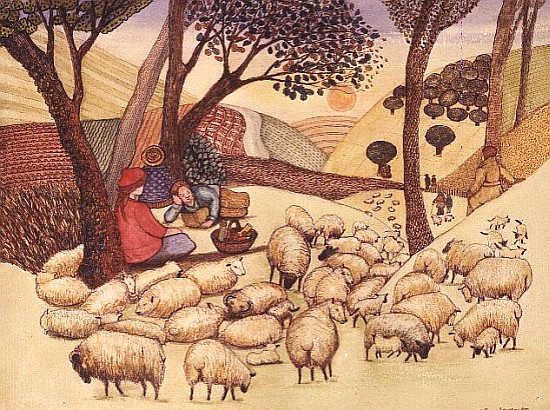 A Picnic Amongst the Sheep  from  Gillian  Lawson