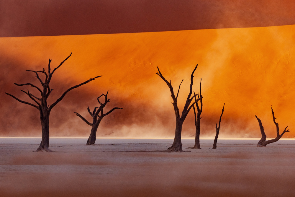 Namibia: The Spirit of Wilderness from Gina Buliga