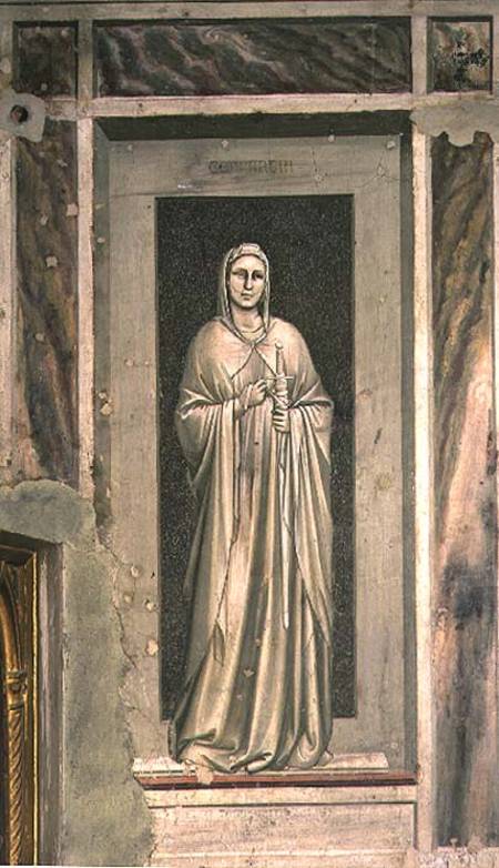 Temperance from Giotto (di Bondone)