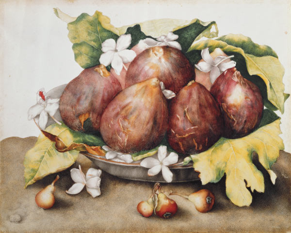 Figs on Leaves from Giovanna Garzoni