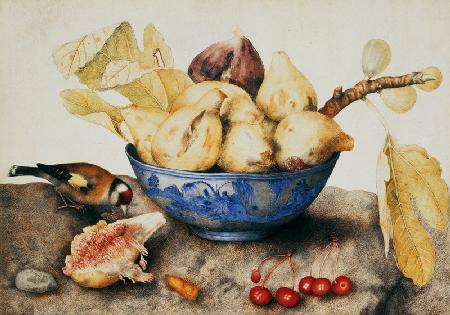 G.Garzoni / Bowl with Figs / c.1650