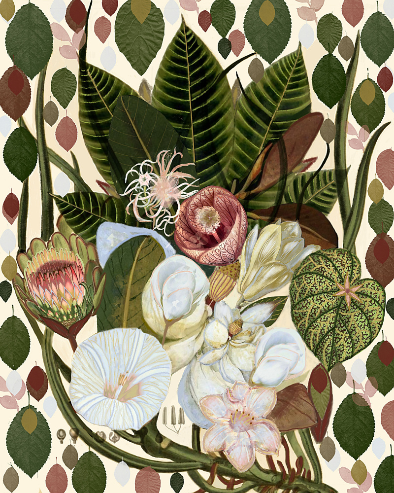 Earthy Blooms.png from giovanna nicolo