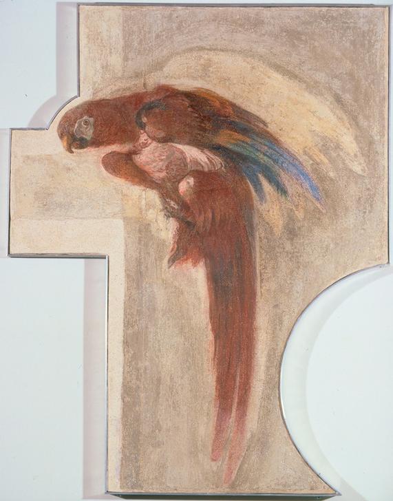 Parrot from Giovanni Domenico Tiepolo
