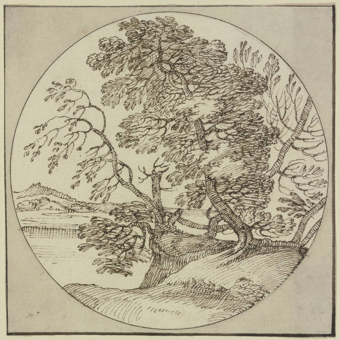 Tree section by the water from Giovanni Francesco Grimaldi