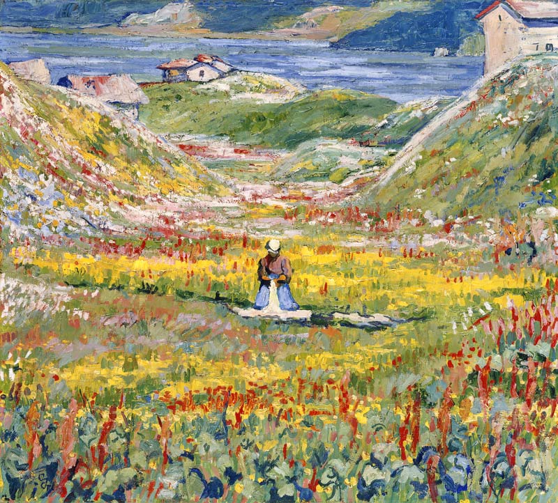 Flowering Meadows in Maloja; Bluhende wiesen bei Maloja from Giovanni Giacometti