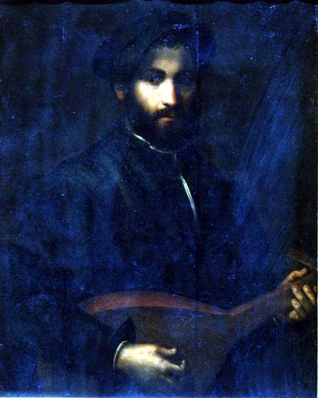 The Guitar Player (panel) from Giulio Campi