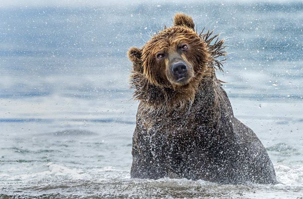 Shaking - Kamchatka, Russia from Giuseppe D 'Amico