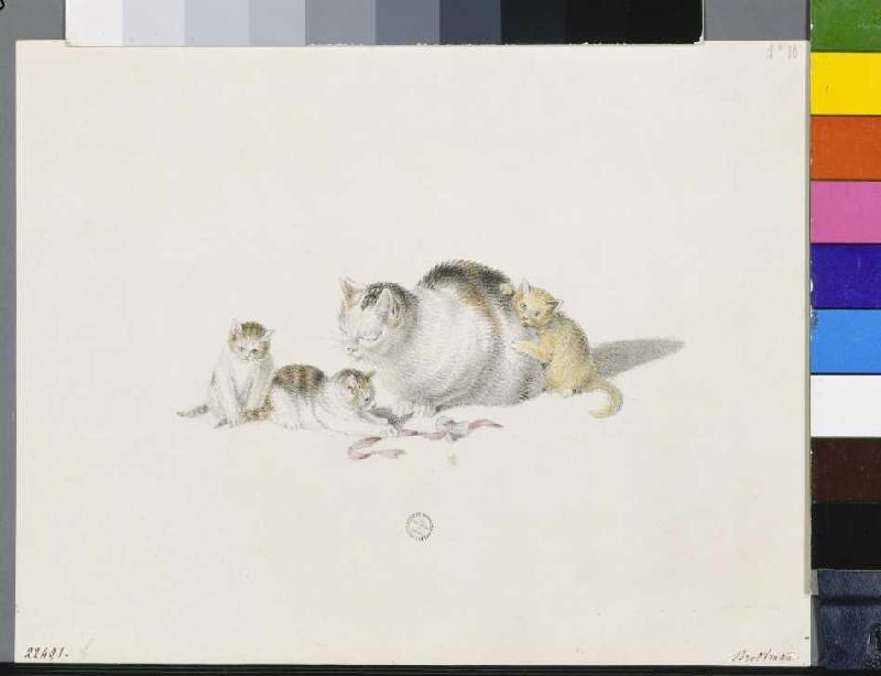 Sleeping cat mother with three boys from Gottfried Mind