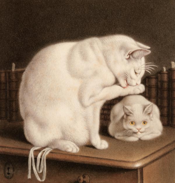 Two white cats on a table with books from Gottfried Mind