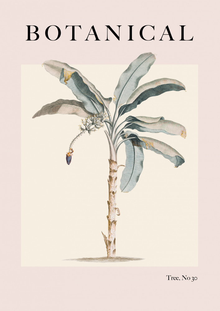 Botanical Palm from Grace Digital Art Co