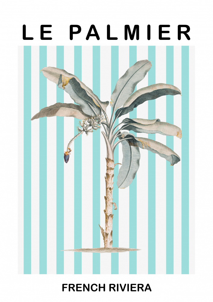 Striped Palm Tree from Grace Digital Art Co