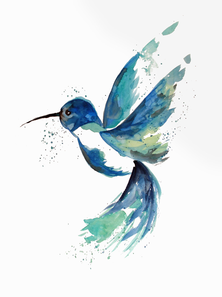 Blue Hummingbird from Sebastian  Grafmann