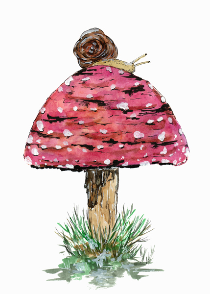 Fly Agaric Toadstool And Snail from Sebastian  Grafmann