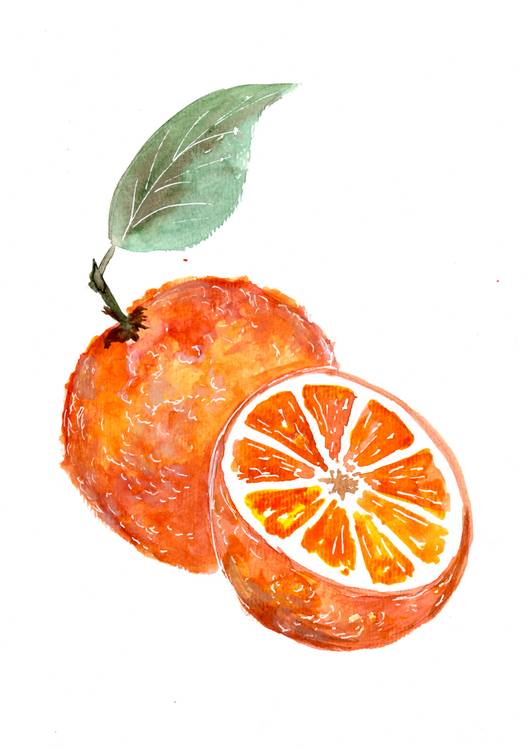 Juicy Oranges from Sebastian  Grafmann