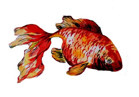 Roter Goldfisch