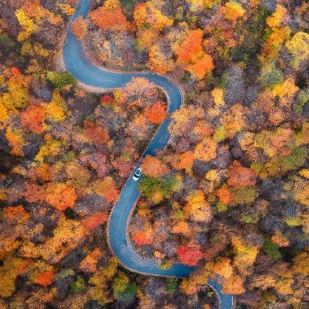 Vermont: Through the Fall