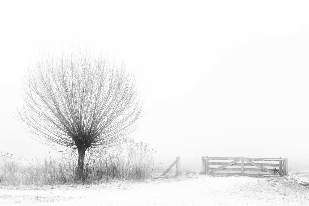 Access to fog from Greetje Van Son