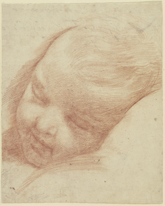 Kopf eines schlafenden Kleinkindes from Guido Reni