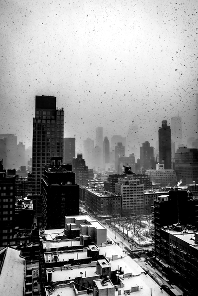 Heavy New York Snow from Guilherme Pontes