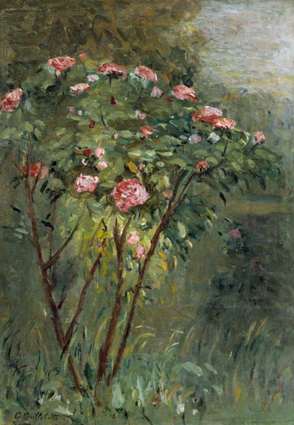 Le Rosier, c.1884-86. from Gustave Caillebotte
