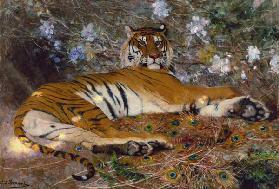 Tiger von Annam.