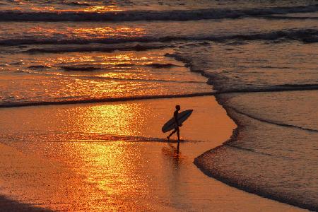 The Sunset Surfer
