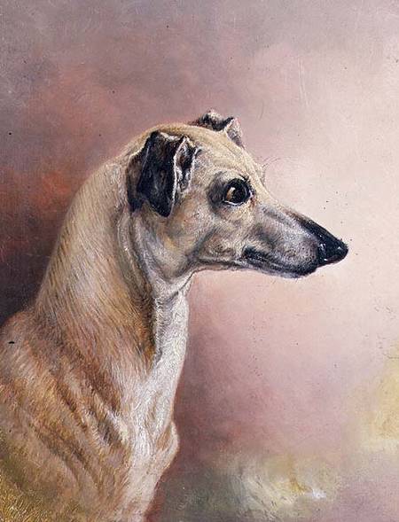 Head of a Greyhound (panel) from H. Morley Park
