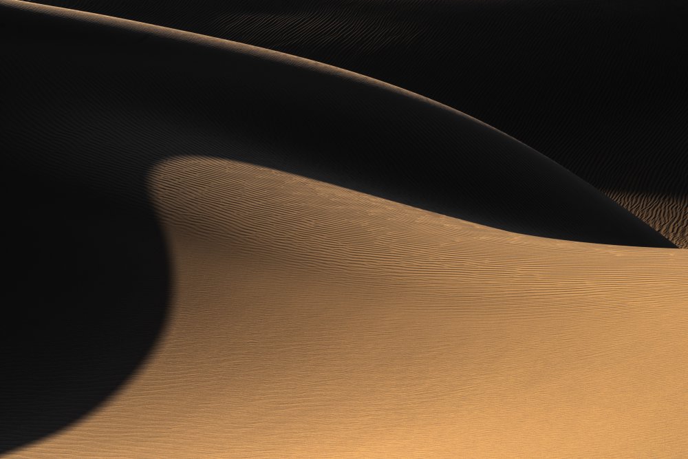 The desert II from Hamid Jamshidian