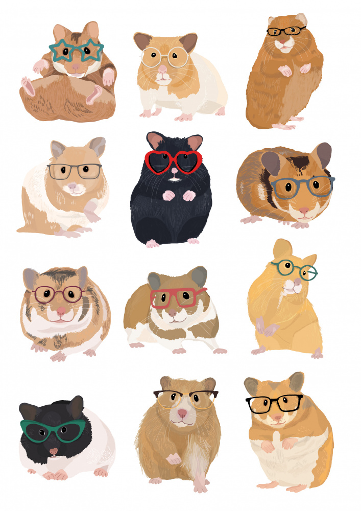 A1 Hamsters In Glasses from Hanna Melin