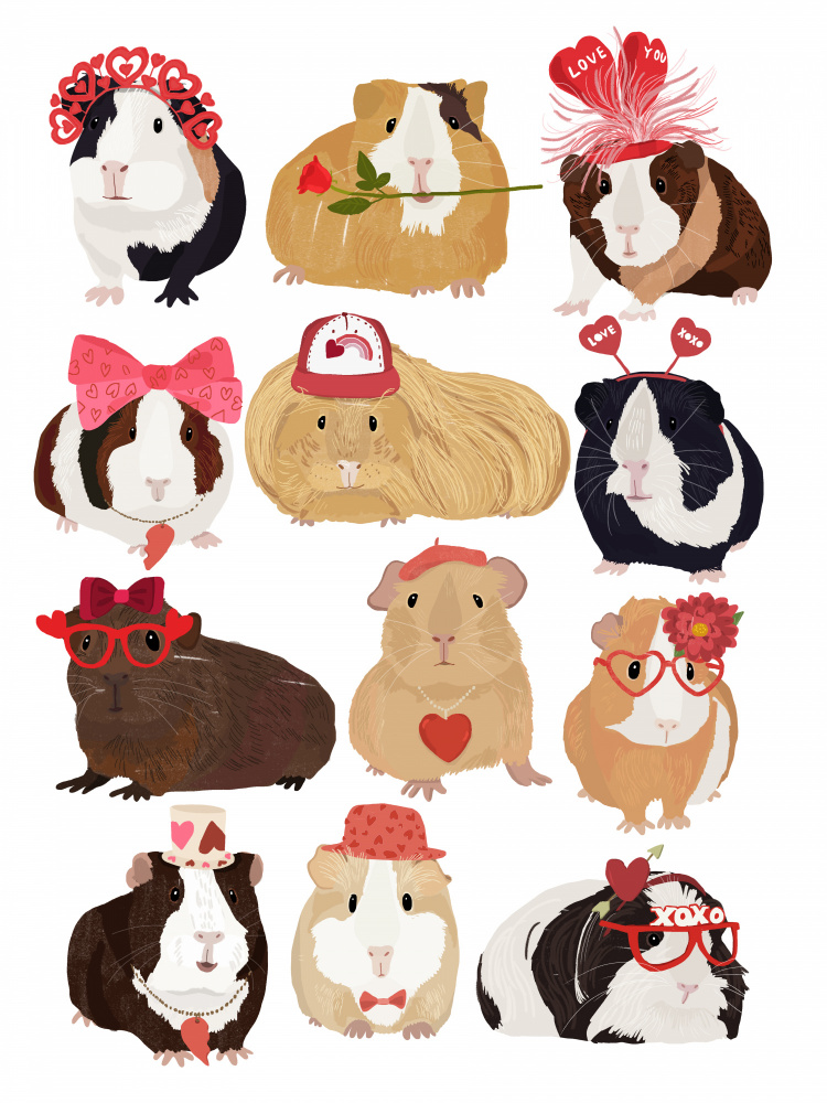 Love Guinea Pigs from Hanna Melin