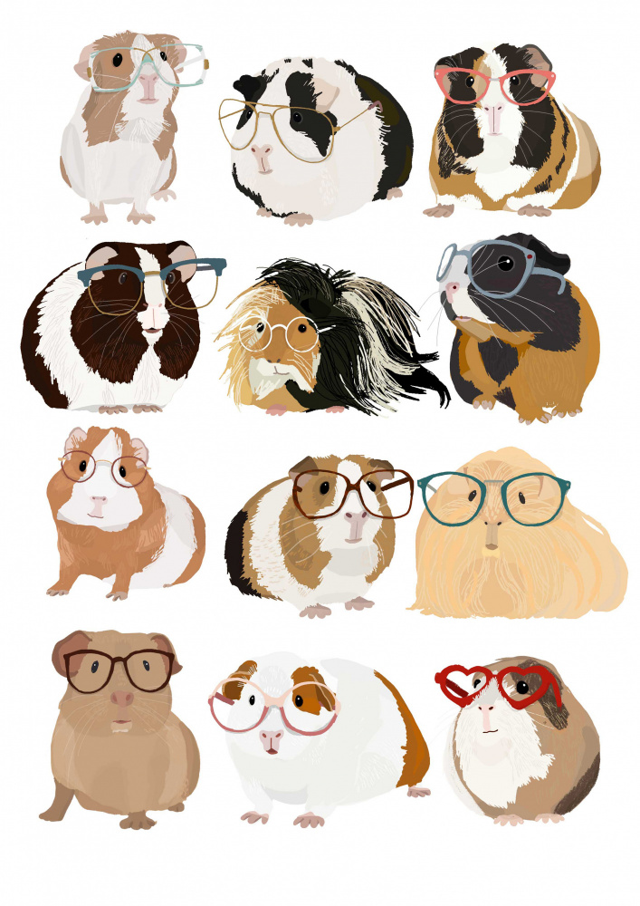 Guinea Pig in Glasses from Hanna Melin