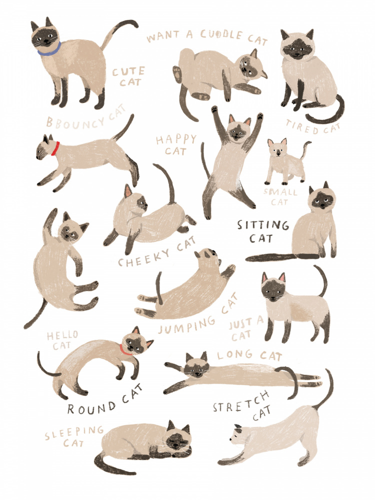 Siamese Cat Print from Hanna Melin