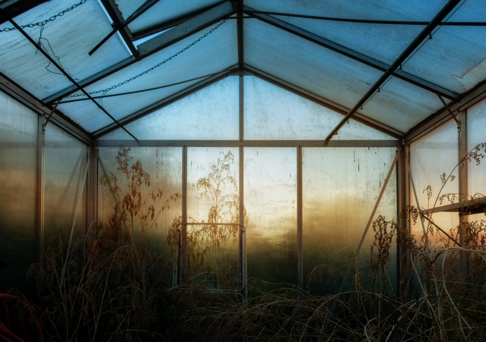 The greenhouse from Hans Günther