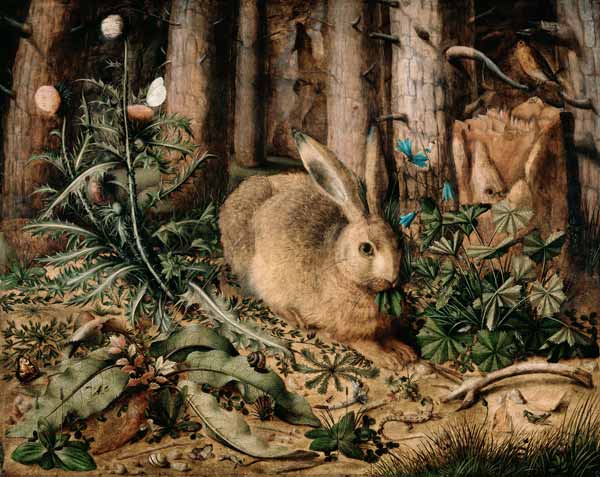 A Hare in the Forest from Hans Hoffmann