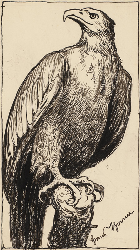 Zeichnung zur Fibel: Adler from Hans Thoma