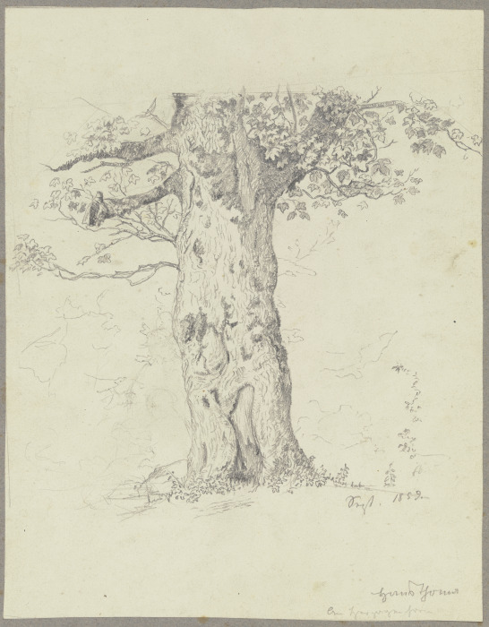 Tree from Hans Thoma