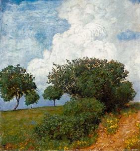 Landscape with cloud