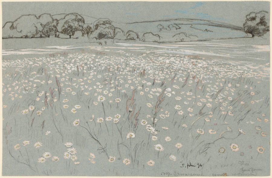 Meadow with Daisys from Hans Thoma