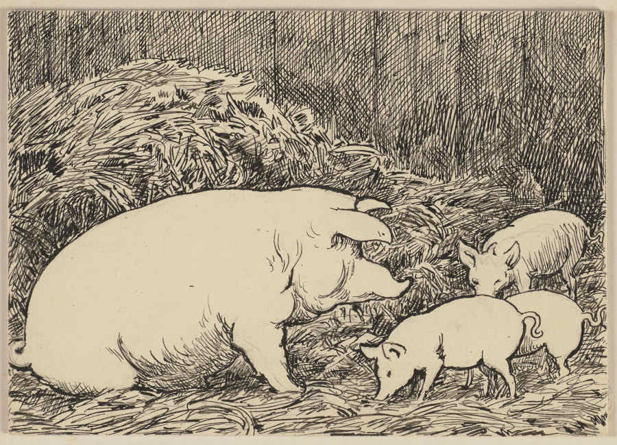 Zeichnung zur Fibel: Schwein from Hans Thoma