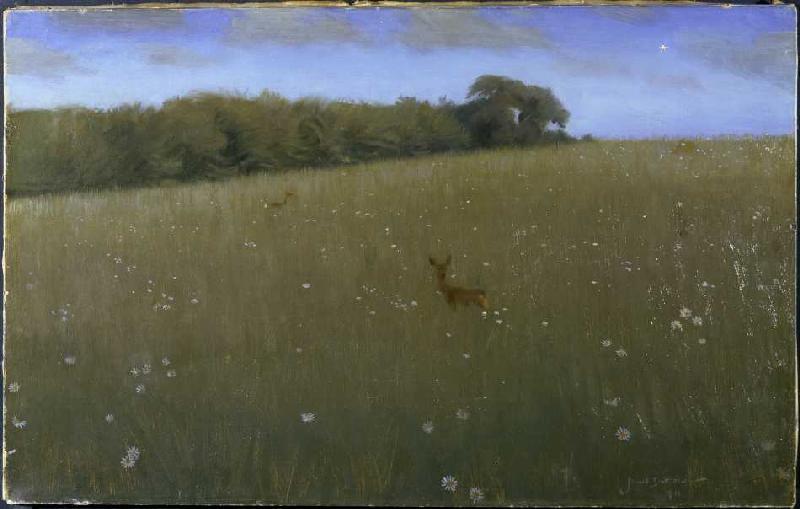 Deer in the dusk in a flower meadow from Harald Slott-Möller