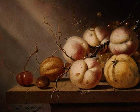 Still life of fruit on a ledge (panel) from Harmen van Steenwijck