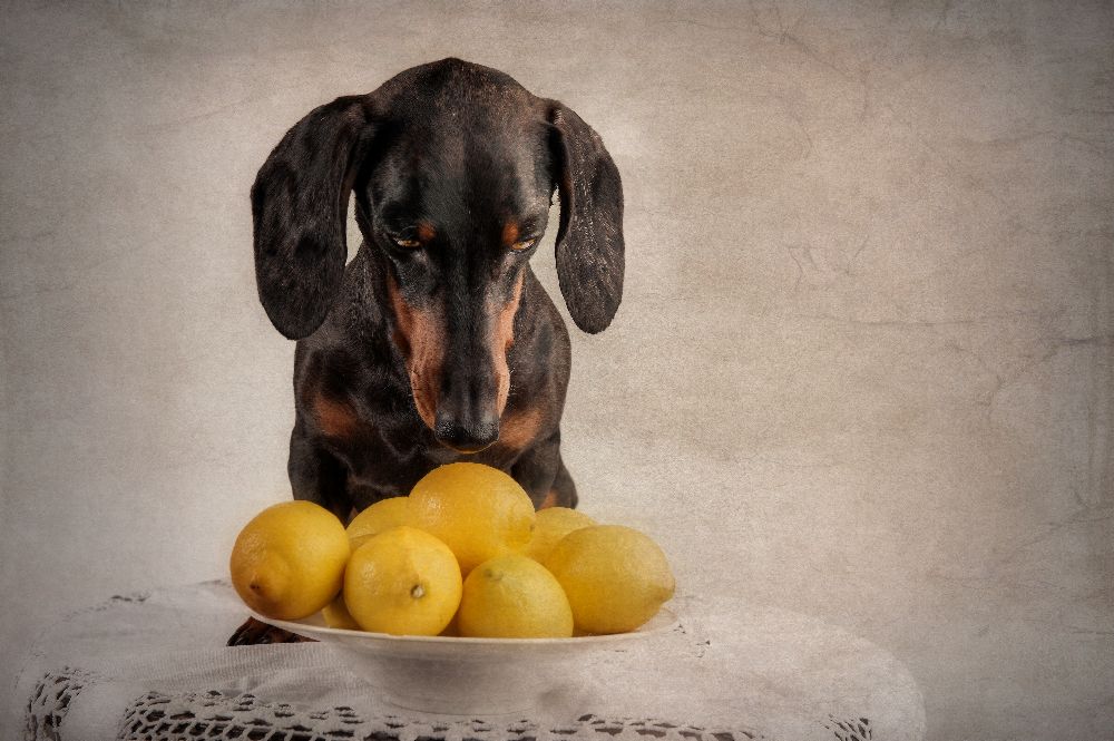 When Life Gives You Lemons... from Heike Willers