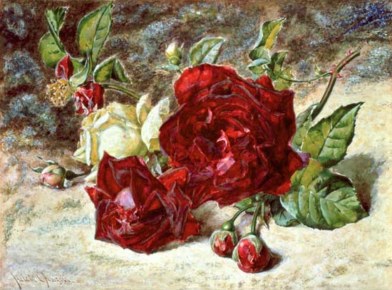 One White and Two Red Roses and Buds from Helen Cordelia Coleman Angell